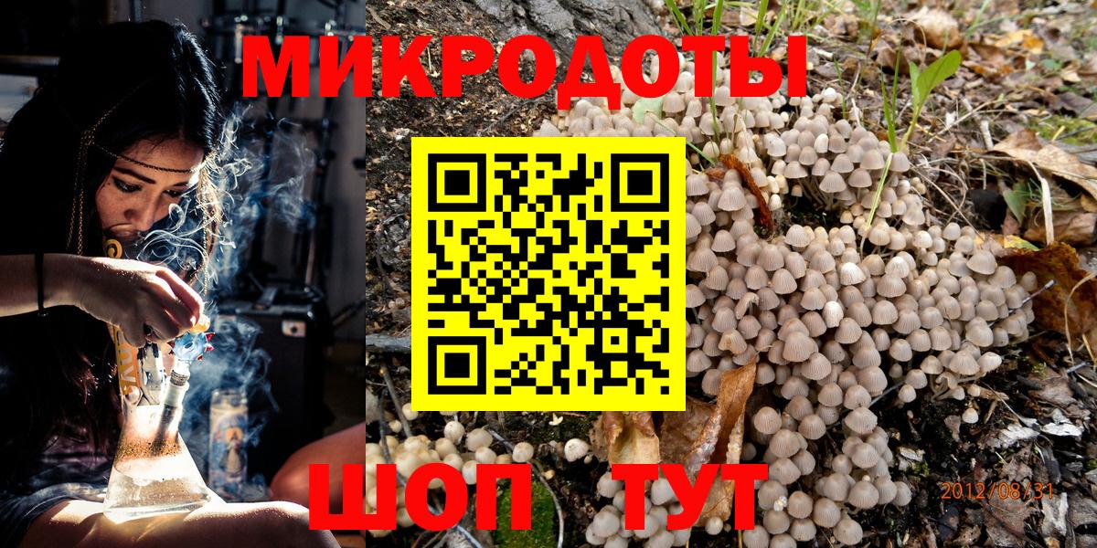 Курск  Галлюциногенные грибы Cubensis  Вход с VPN 