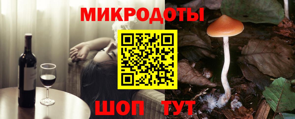 Галлюциногенные грибы Psilocybine cubensis Курск